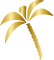 palm-icon